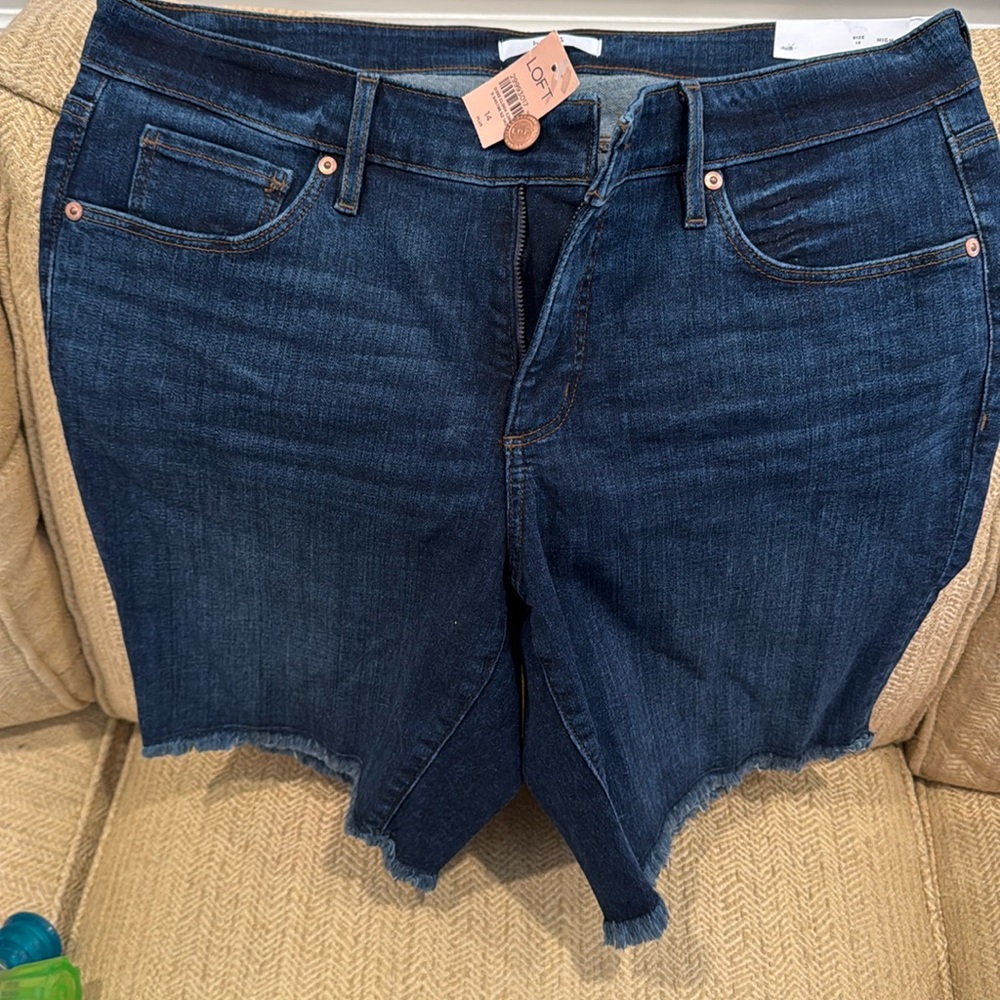 Loft Plus size 14. NWT